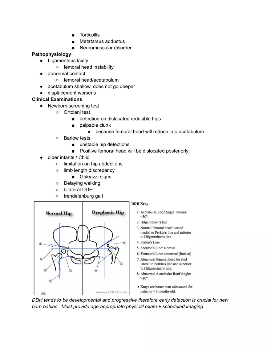 Developmental Dysplasia of the Hip - Page 2