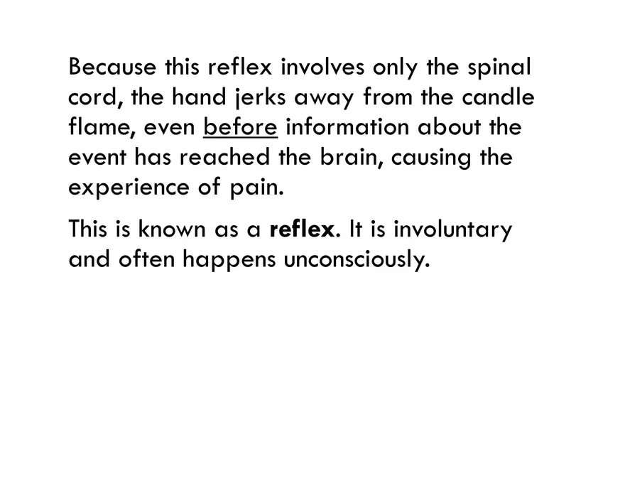 Unit 8 Seminar - The Nervous System - Page 27