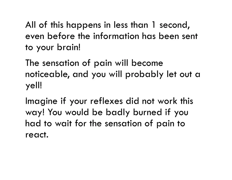 Unit 8 Seminar - The Nervous System - Page 31