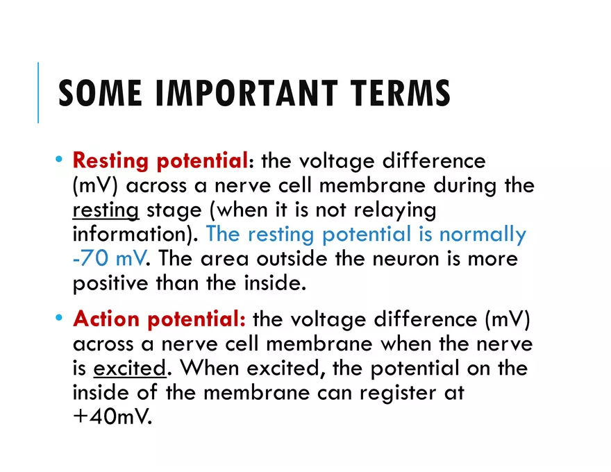 Unit 8 Seminar - The Nervous System - Page 39