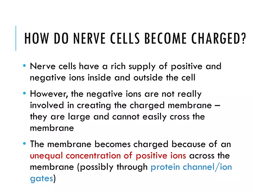 Unit 8 Seminar - The Nervous System - Page 40