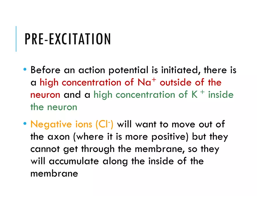 Unit 8 Seminar - The Nervous System - Page 41