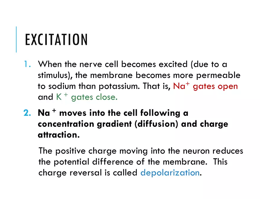 Unit 8 Seminar - The Nervous System - Page 44