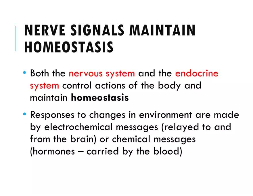 Unit 8 Seminar - The Nervous System - Page 2