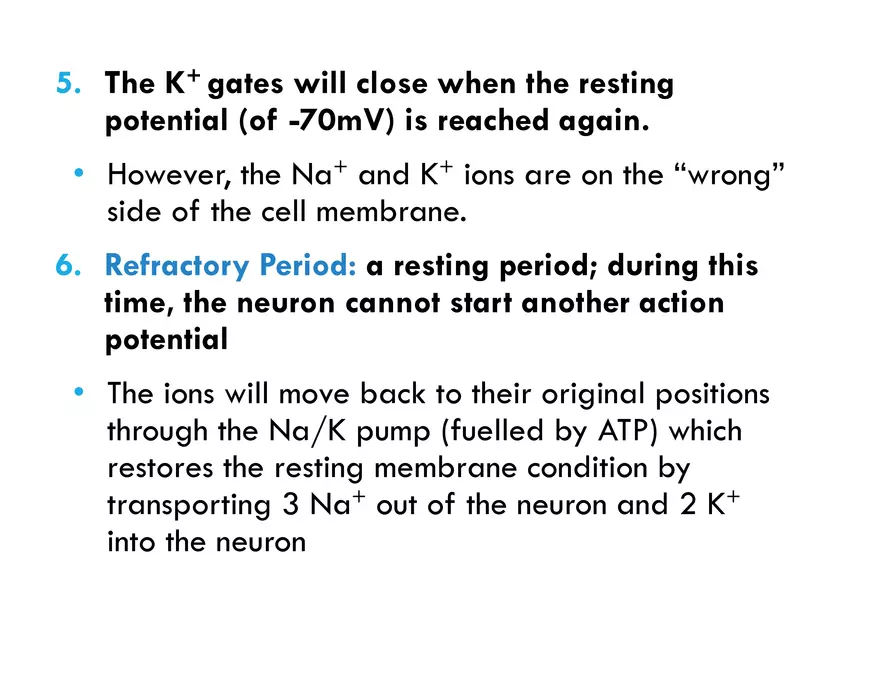 Unit 8 Seminar - The Nervous System - Page 48