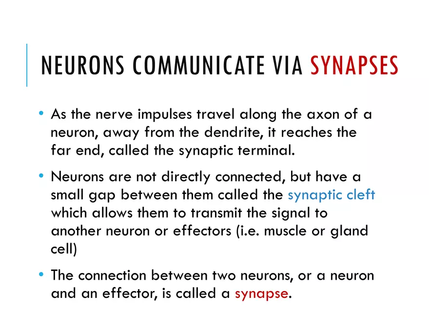 Unit 8 Seminar - The Nervous System - Page 53