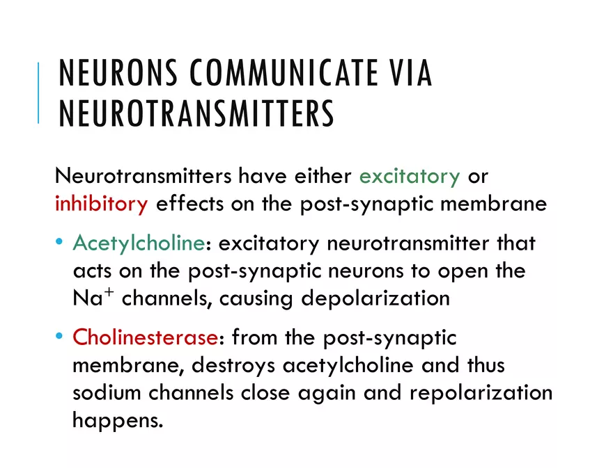 Unit 8 Seminar - The Nervous System - Page 59