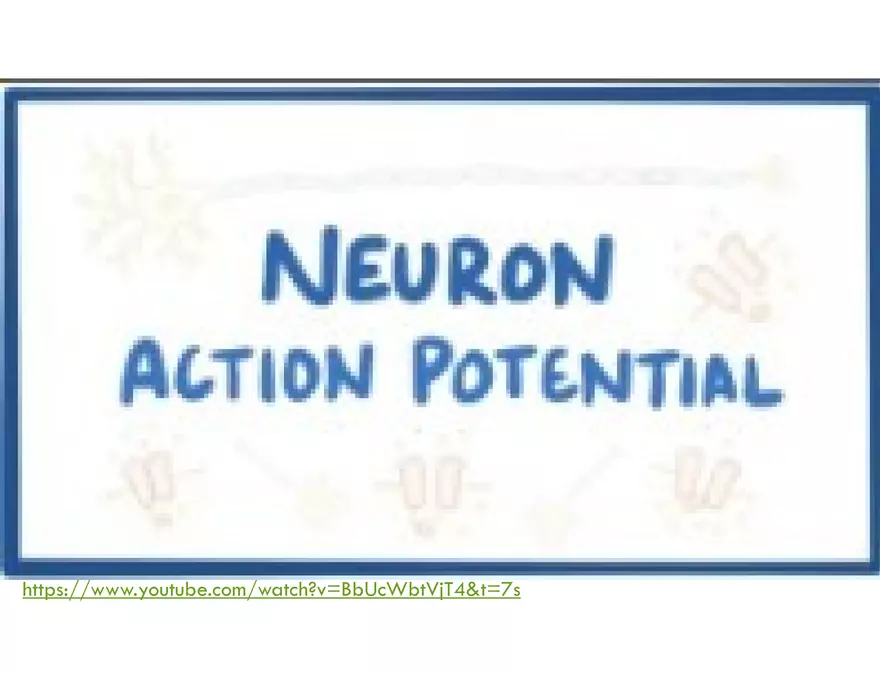 Unit 8 Seminar - The Nervous System - Page 60