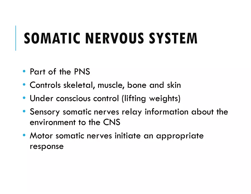 Unit 8 Seminar - The Nervous System - Page 61