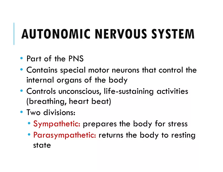 Unit 8 Seminar - The Nervous System - Page 62