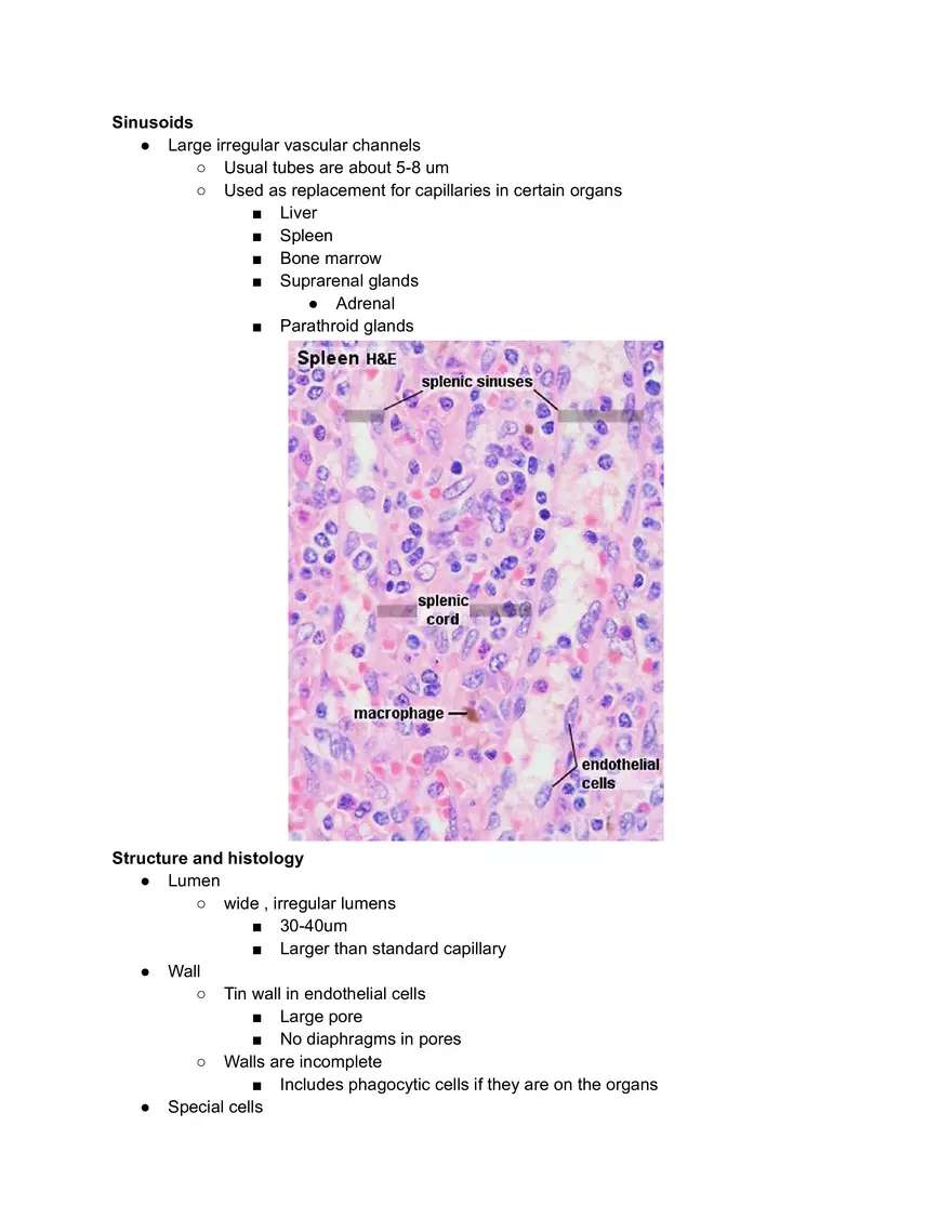 Sinusoids Cheat Sheet - Page 1