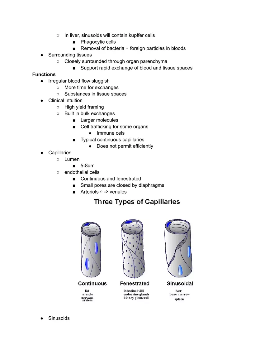Sinusoids Cheat Sheet - Page 2