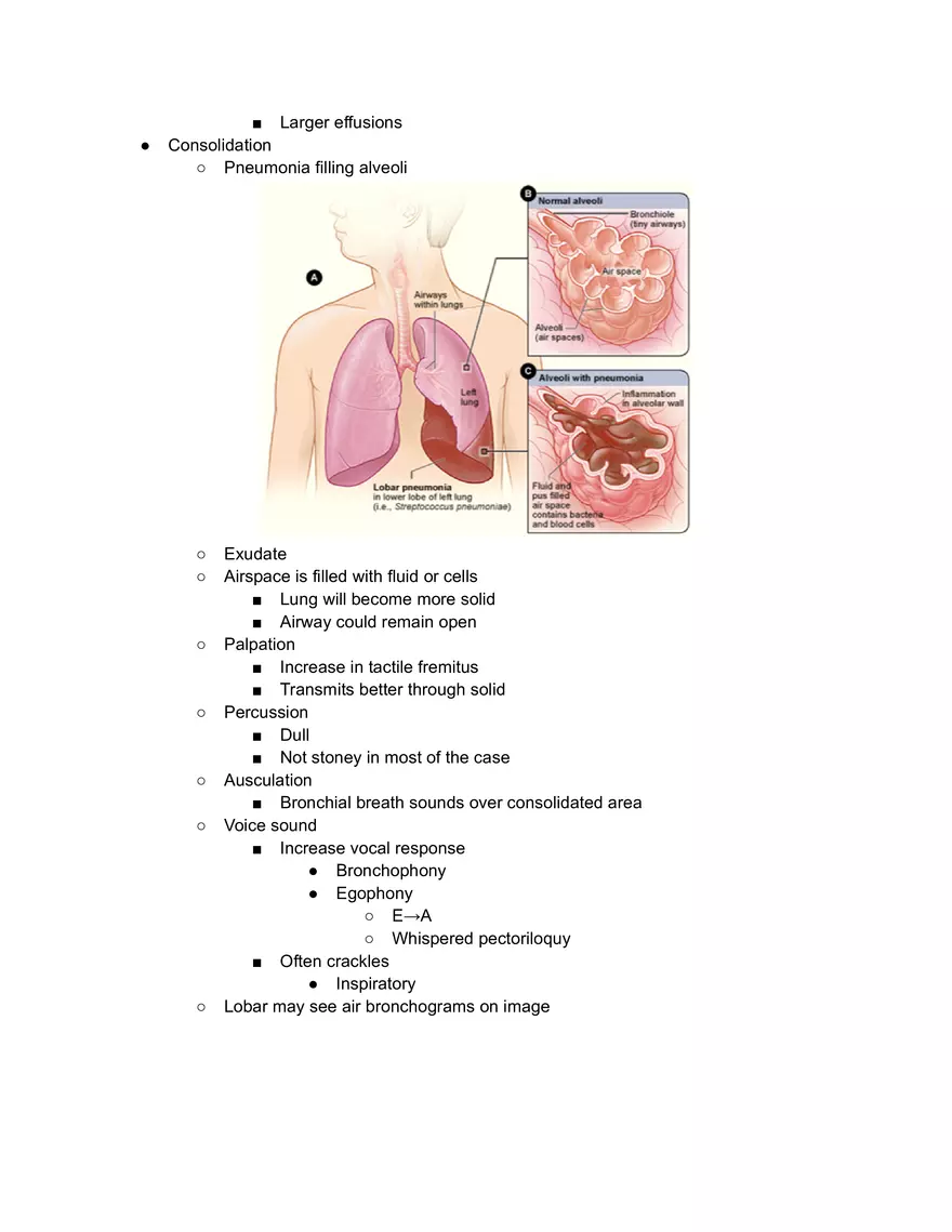 Chest Exam - Page 2