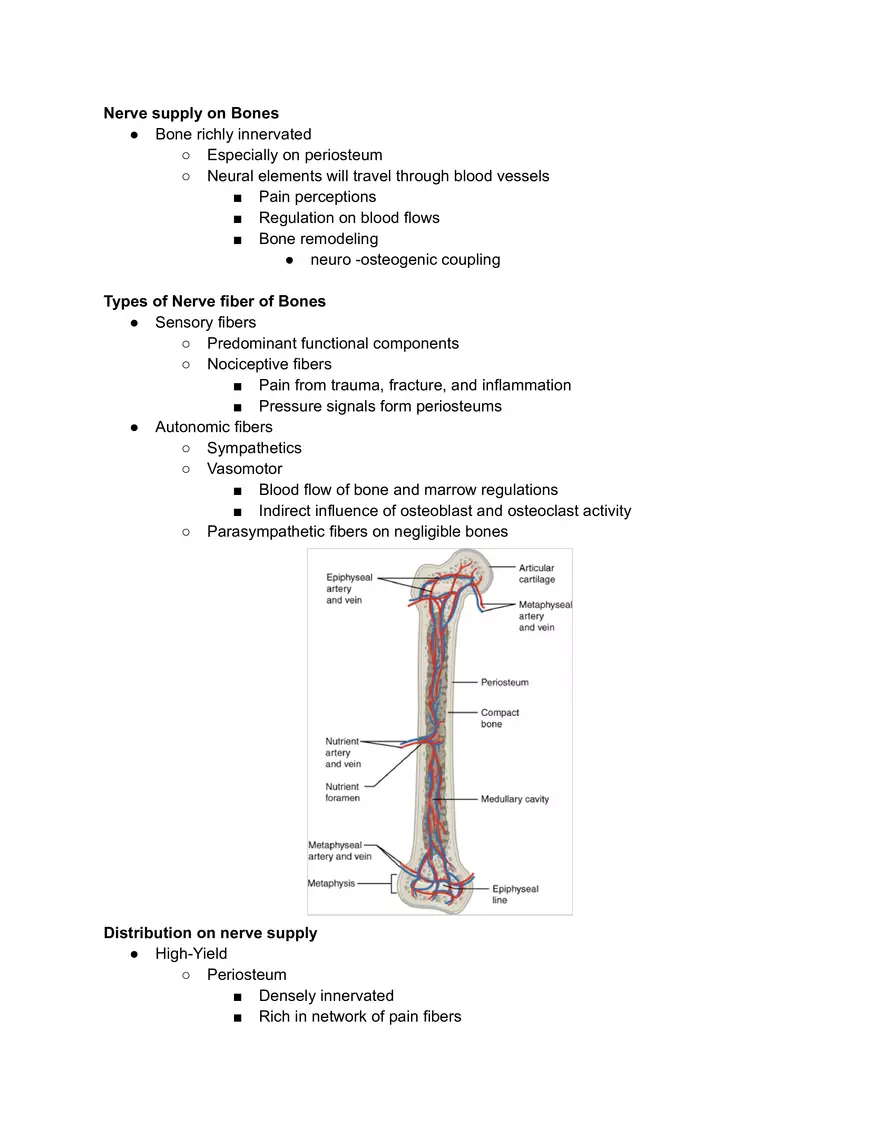 Nerve Supply on Bones - Page 1