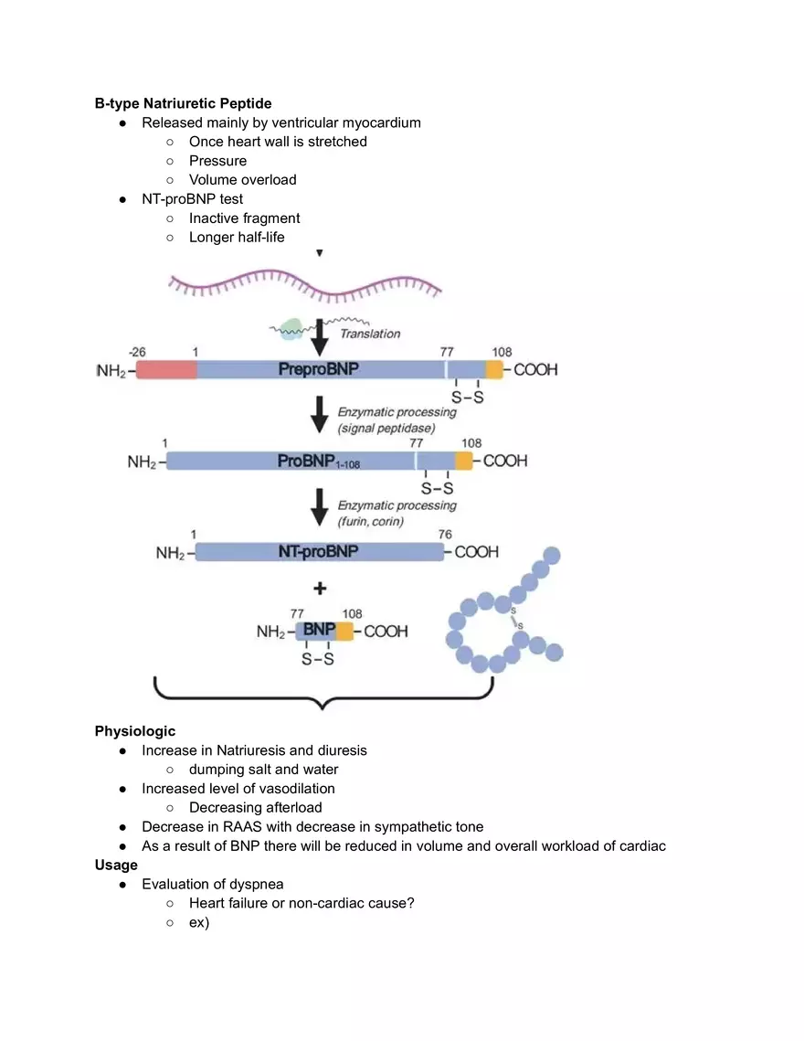 B-type Natriuretic Peptide - Page 1
