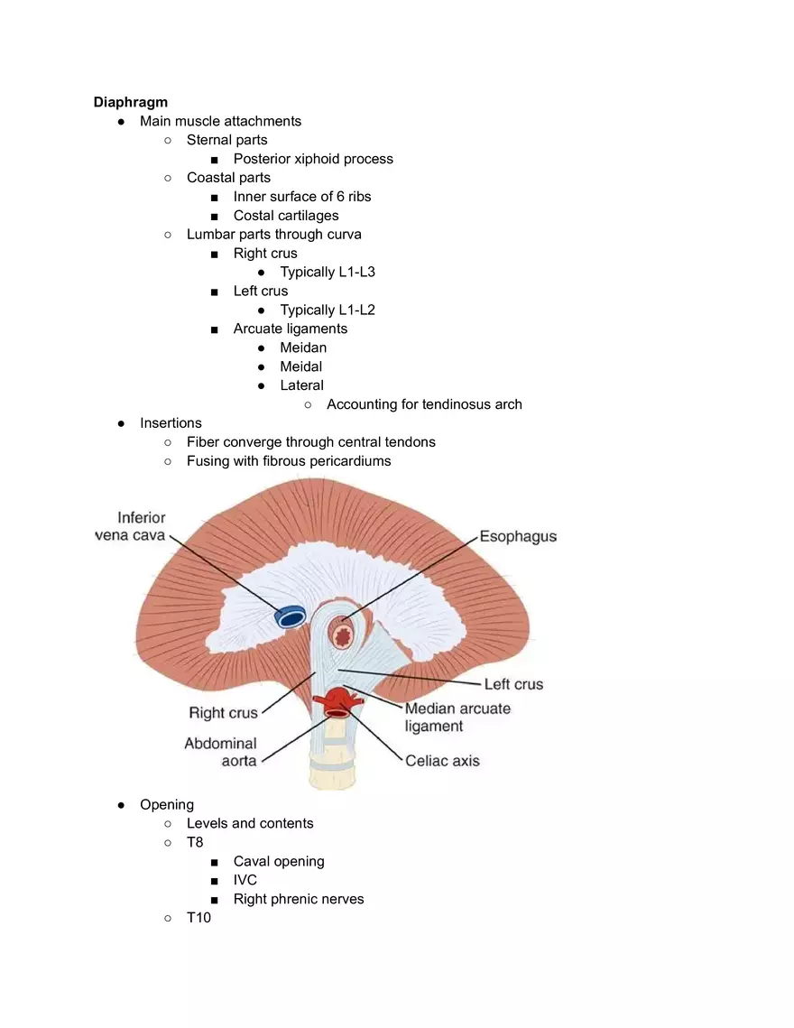 Diaphragm Cheat Sheet - Page 1