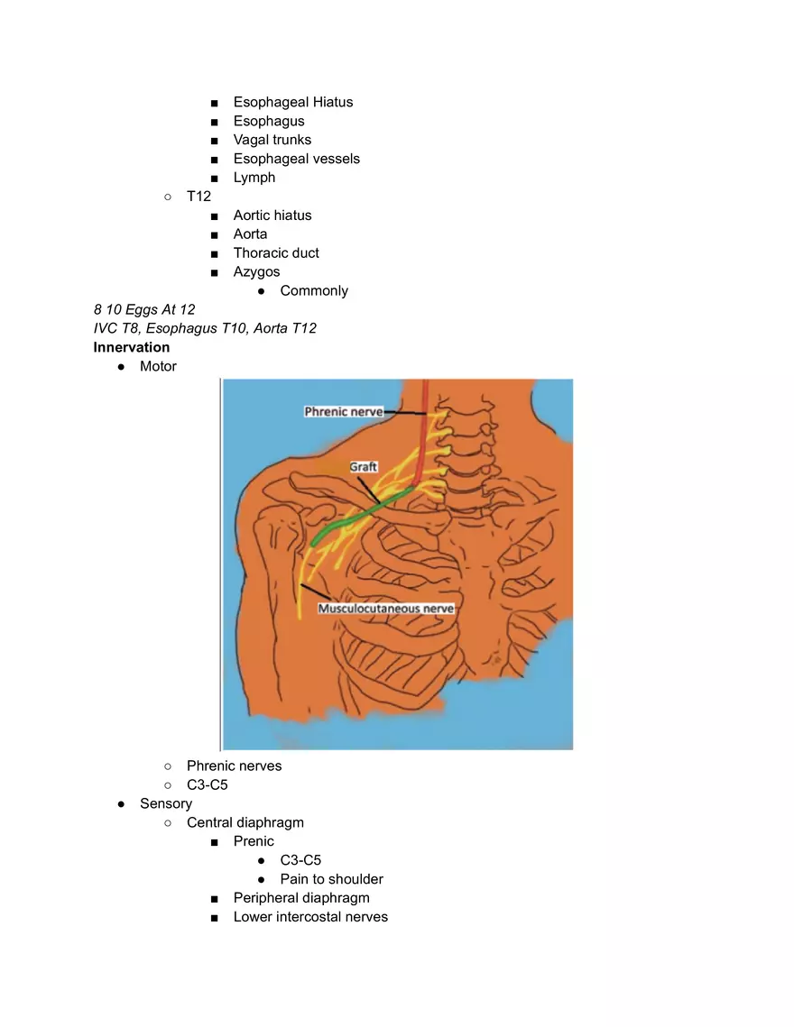 Diaphragm Cheat Sheet - Page 2