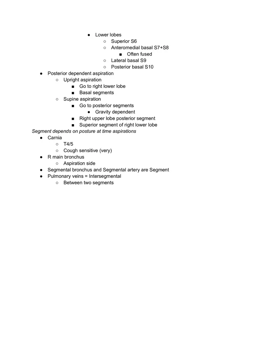 Tracheobronchial Tree - Page 3