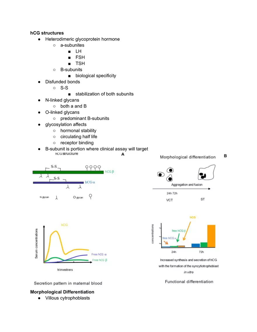 HCG Differentiation - Page 1