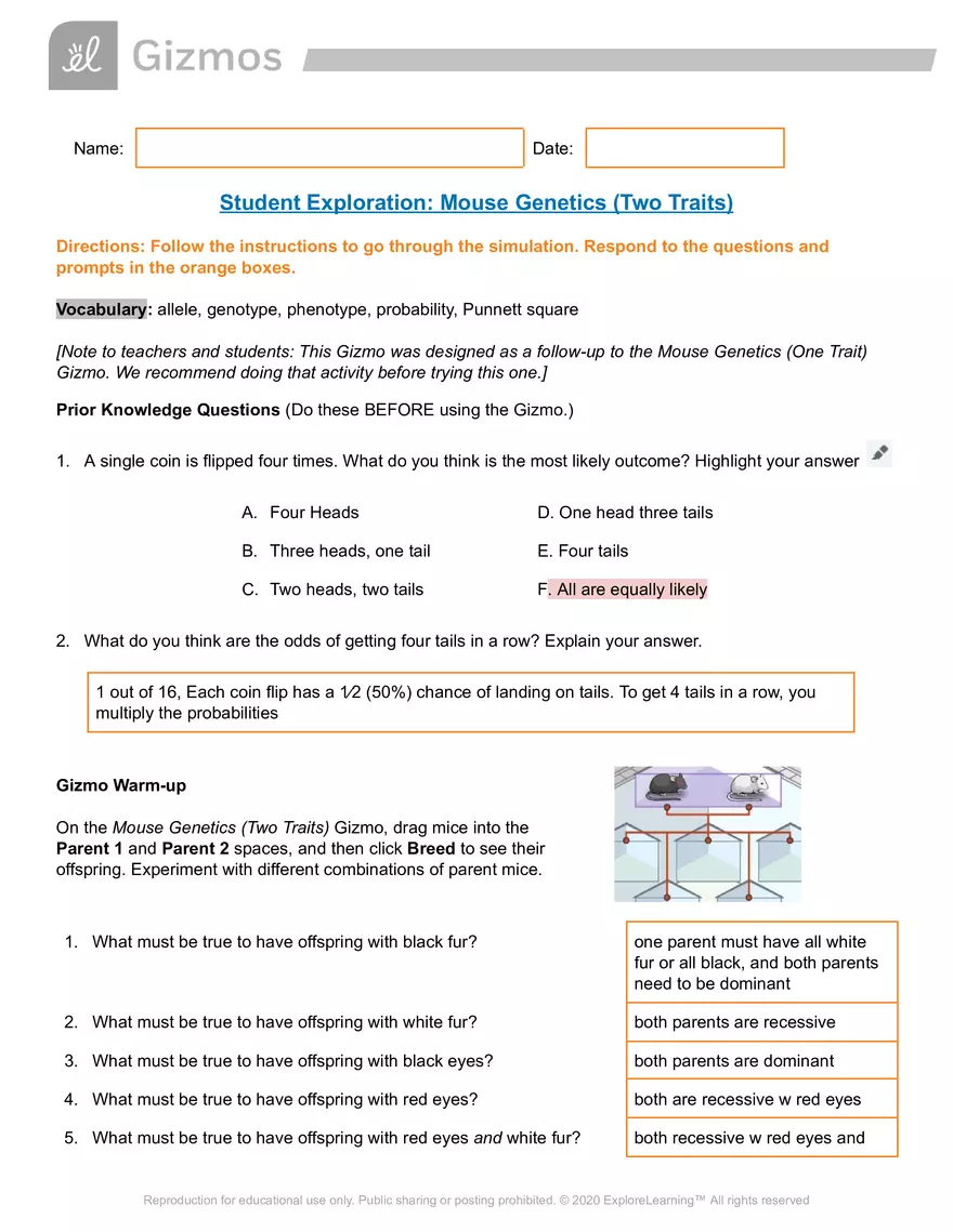 Student Exploration: Mouse Genetics (Two Traits) - Page 1