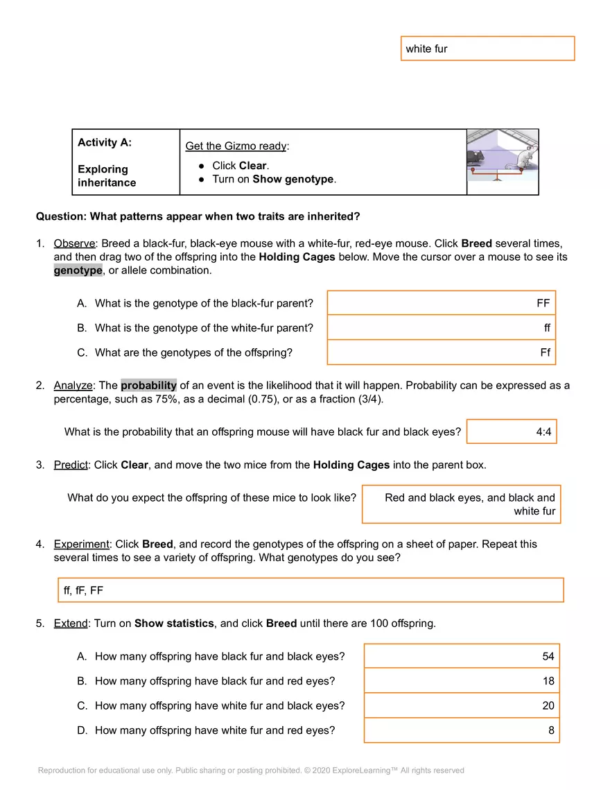 Student Exploration: Mouse Genetics (Two Traits) - Page 2