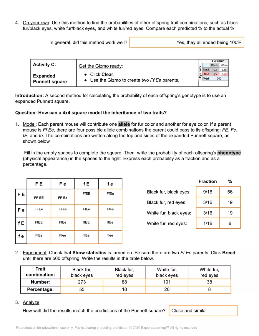 Student Exploration: Mouse Genetics (Two Traits) - Page 4