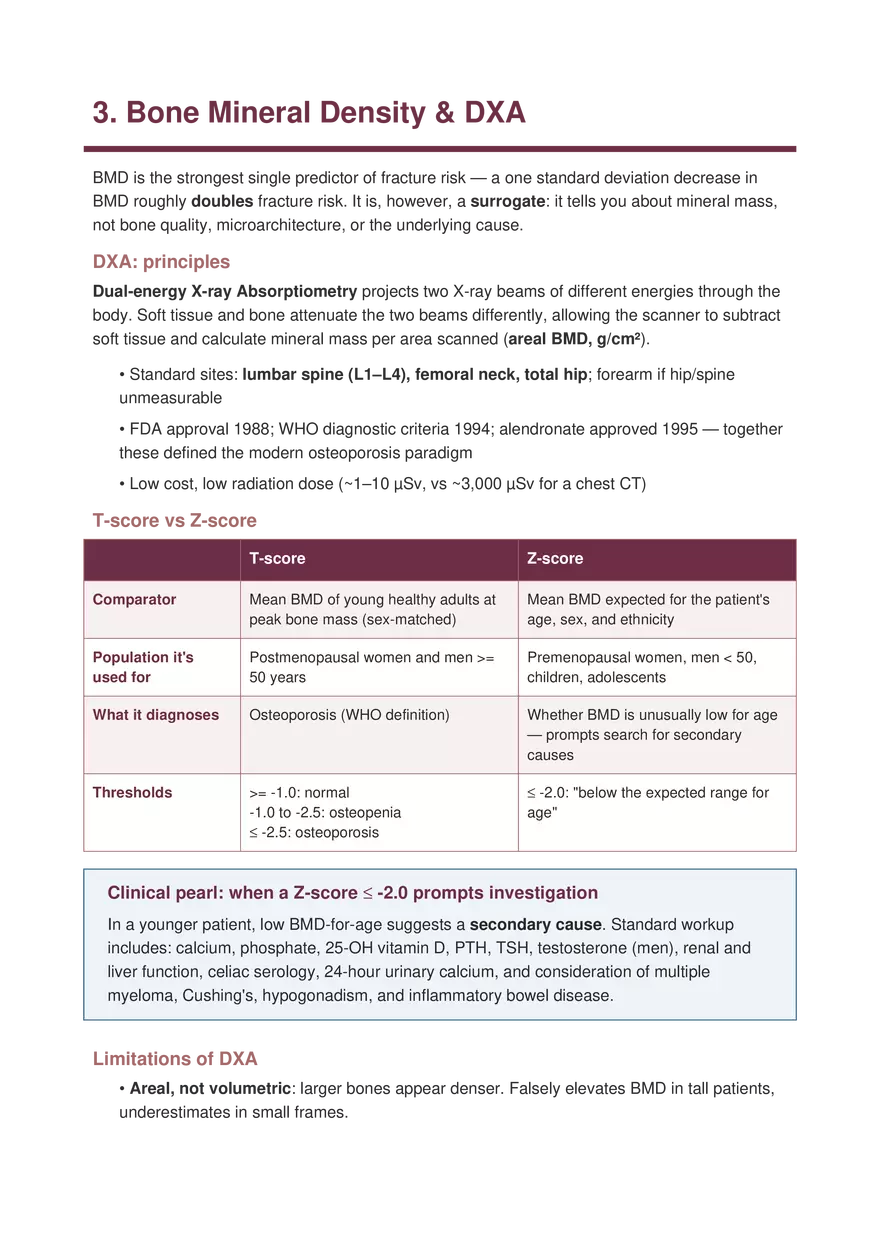 Bone Diseases Explained Simply - Page 12