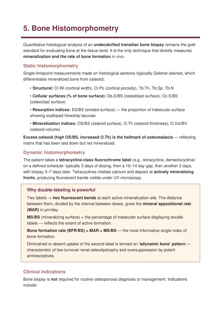 Bone Diseases Explained Simply - Page 16