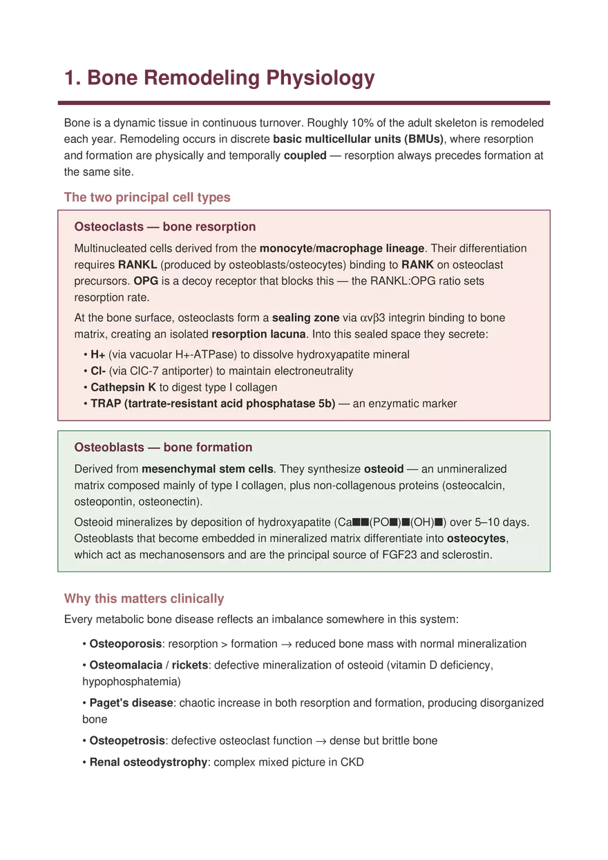Bone Diseases Explained Simply - Page 2