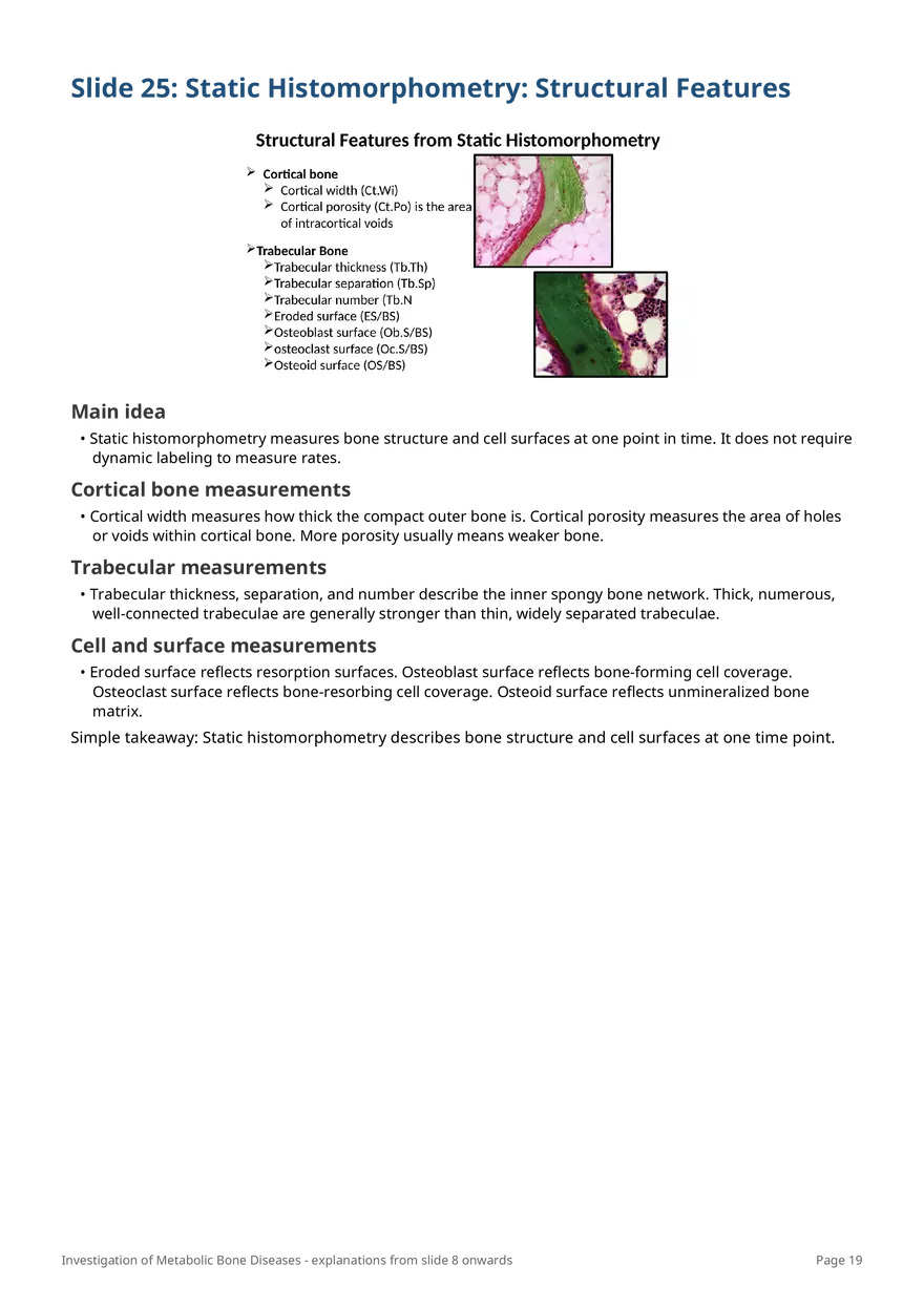Investigation of Metabolic Bone Diseases - Page 11