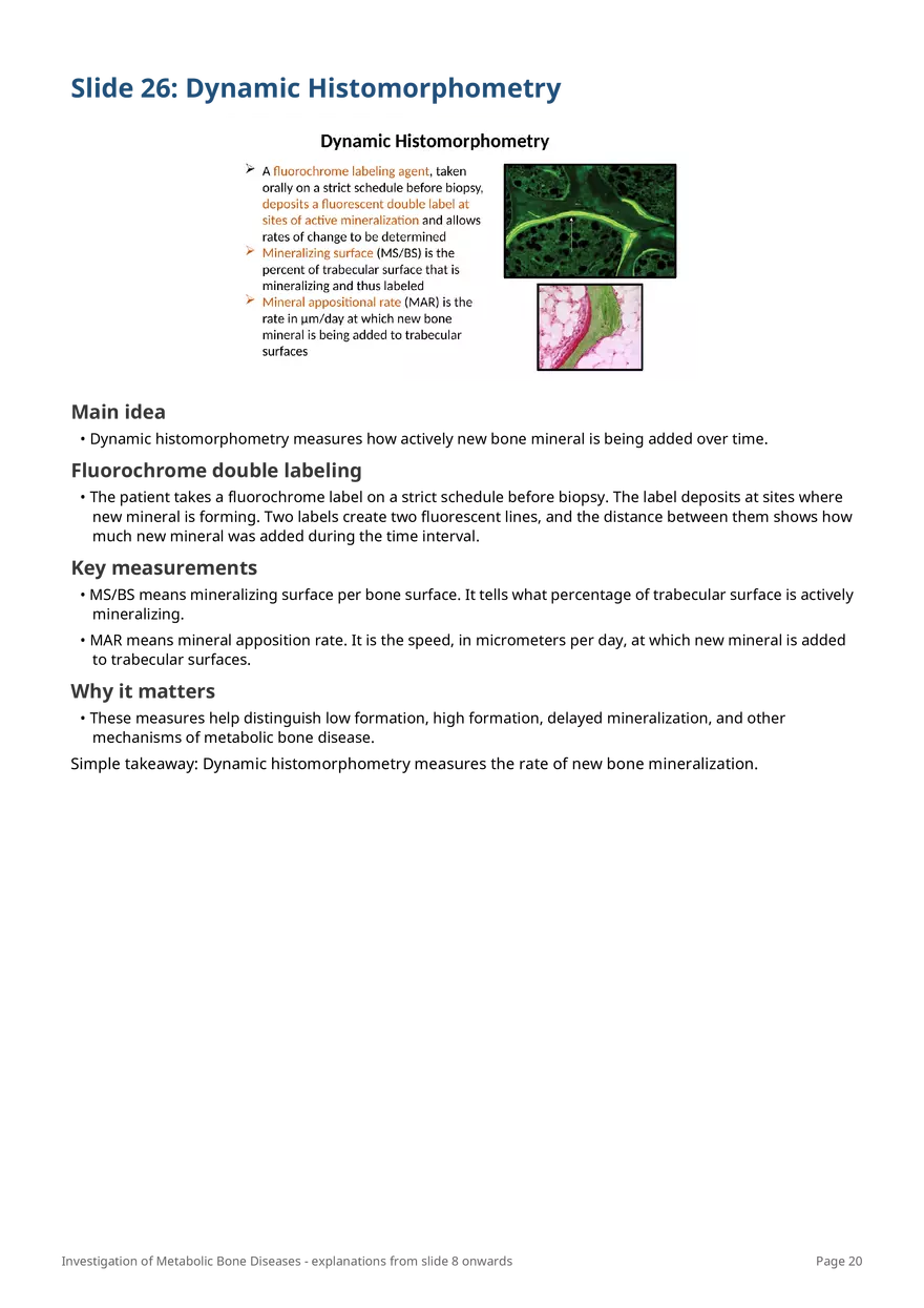 Investigation of Metabolic Bone Diseases - Page 12