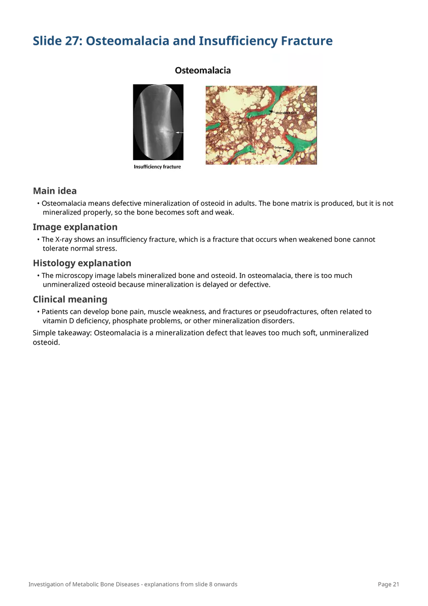Investigation of Metabolic Bone Diseases - Page 14