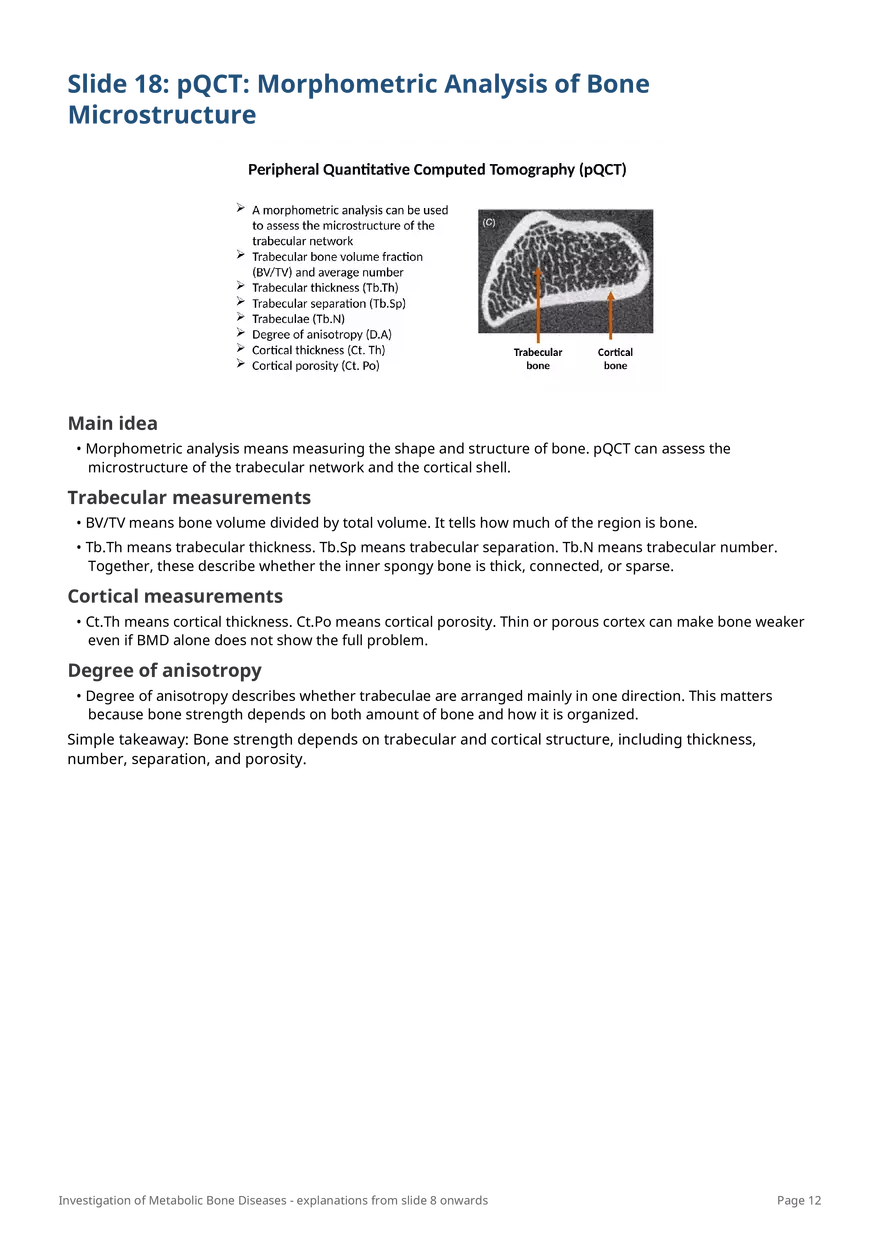 Investigation of Metabolic Bone Diseases - Page 4