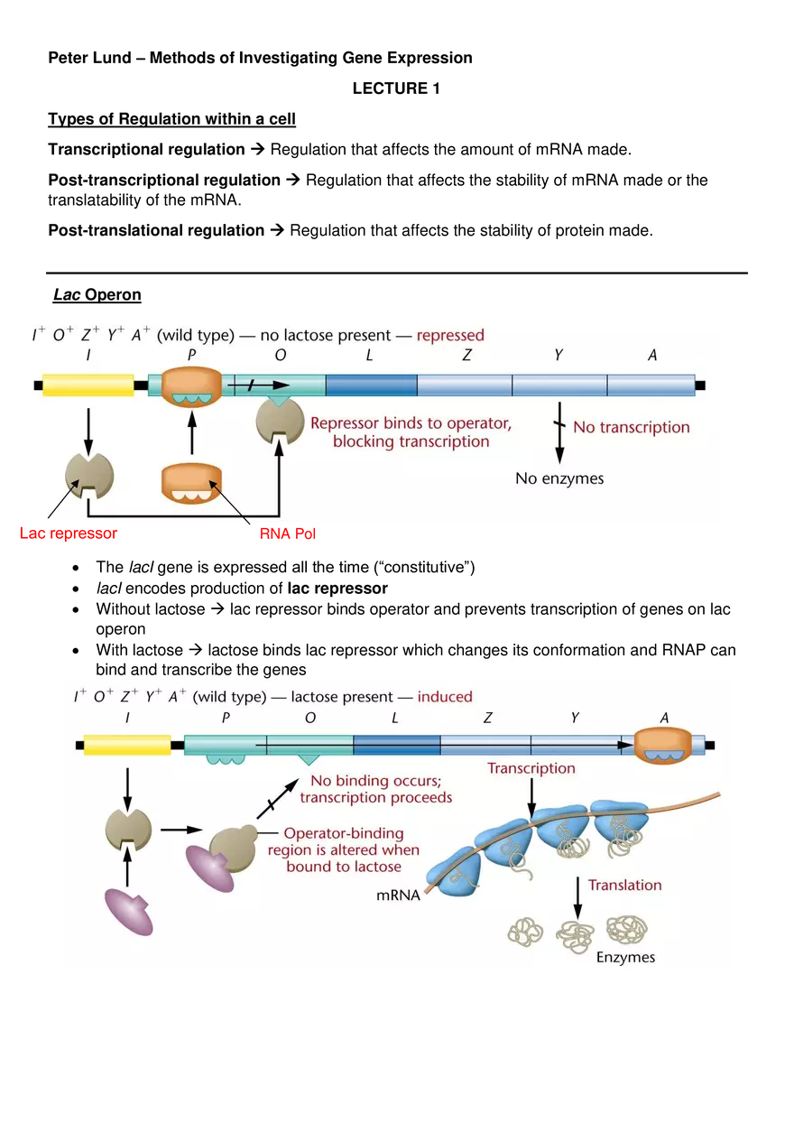 Methods of Investigating Gene Expression - Page 1