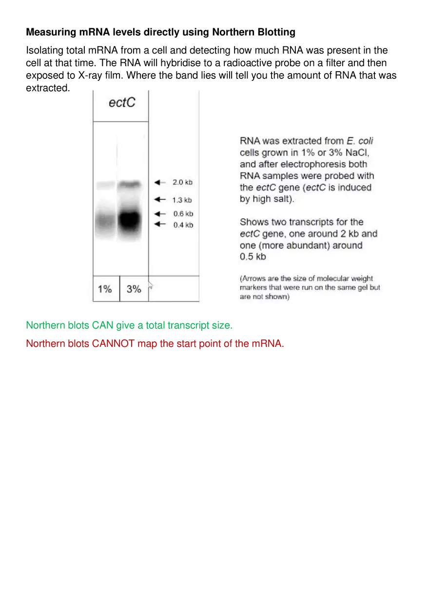 Methods of Investigating Gene Expression - Page 4