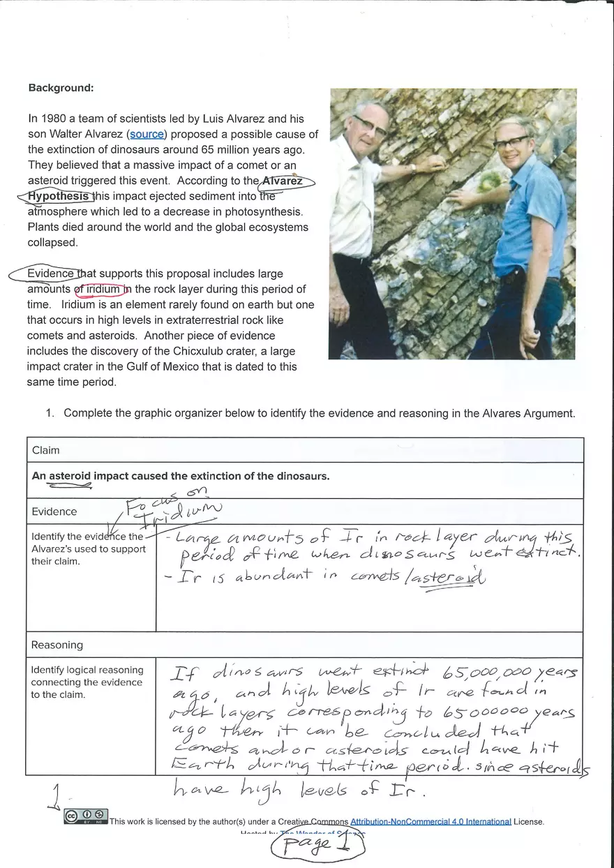 The Deccan Volcanism Hypothesis - Page 1