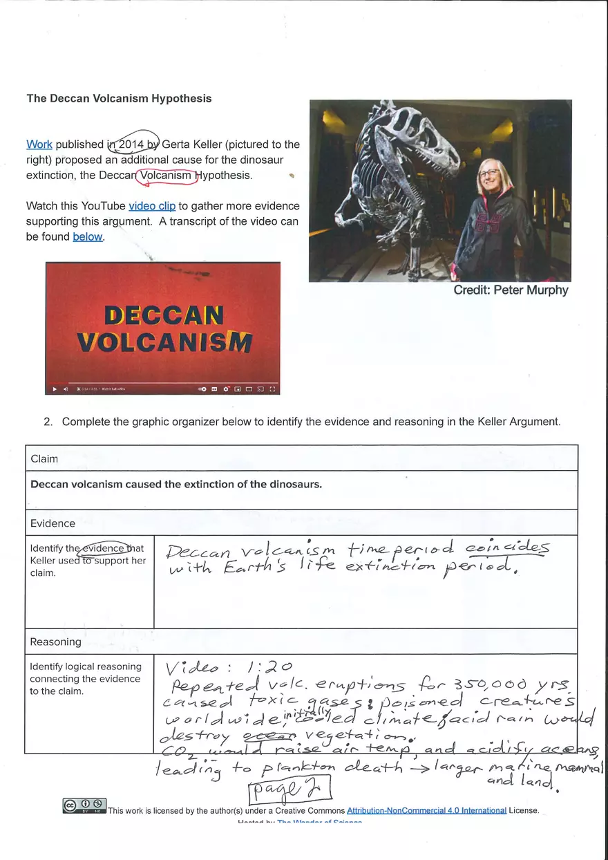 The Deccan Volcanism Hypothesis - Page 2