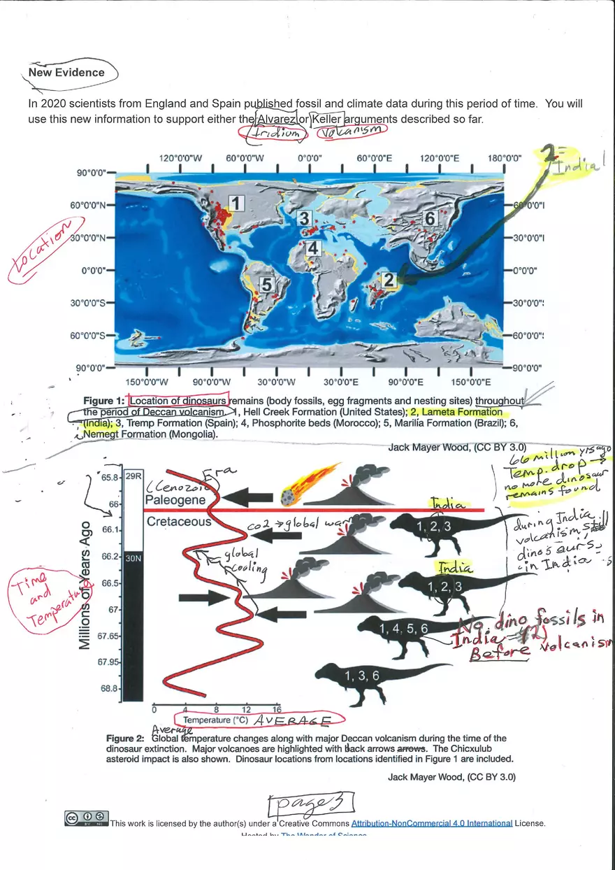 The Deccan Volcanism Hypothesis - Page 3
