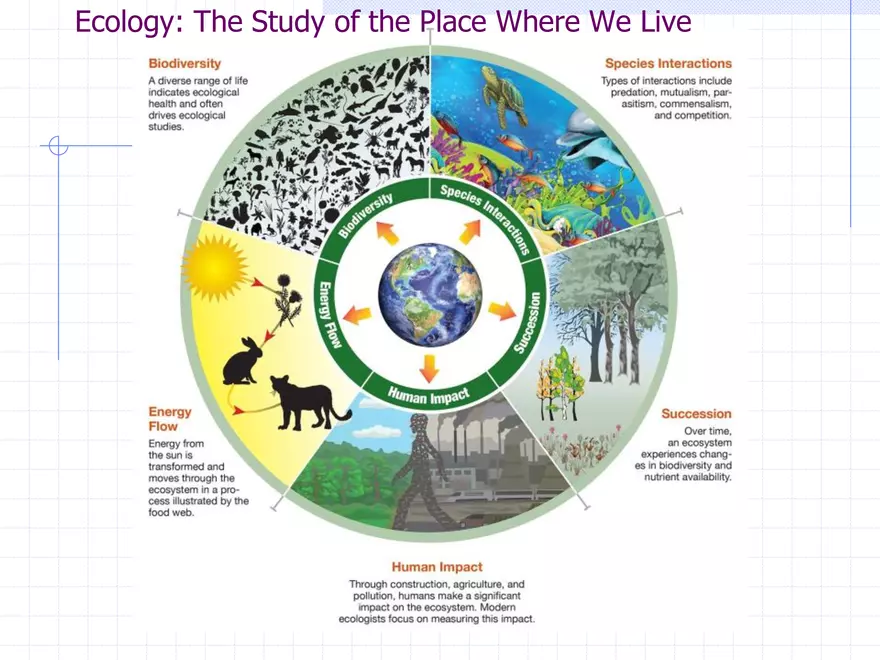 2.1 & 2.2 Sustainable Ecosystems - Page 22
