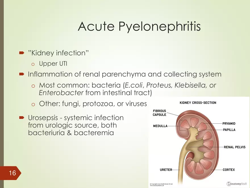 Renal and Urologic Problems - Page 8