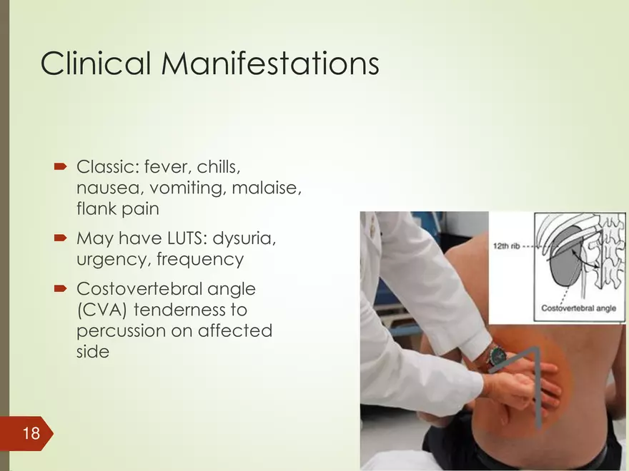 Renal and Urologic Problems - Page 10
