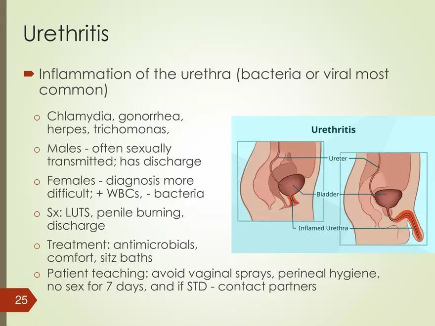 Renal and Urologic Problems - Page 18