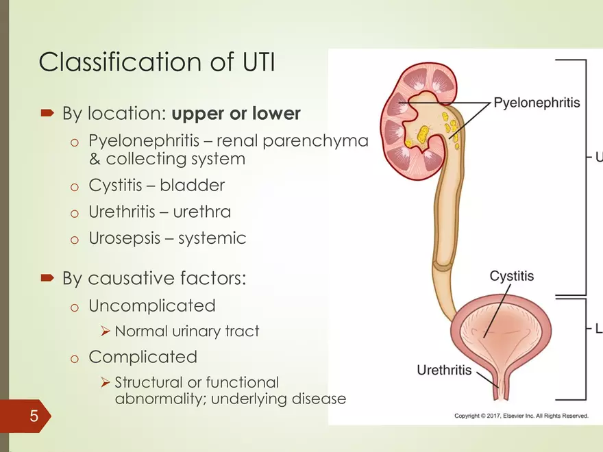 Renal and Urologic Problems - Page 32