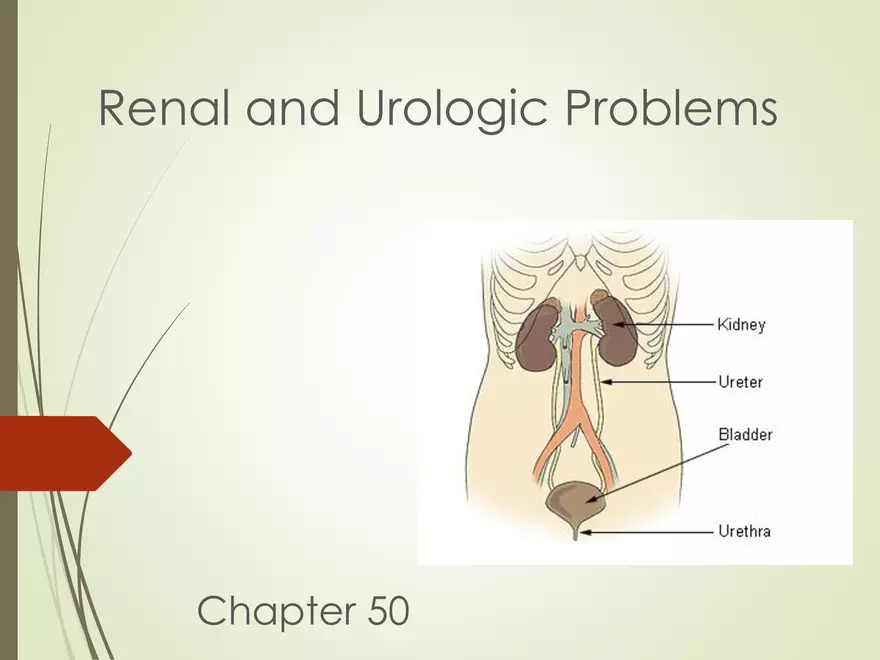 Renal and Urologic Problems - Page 1