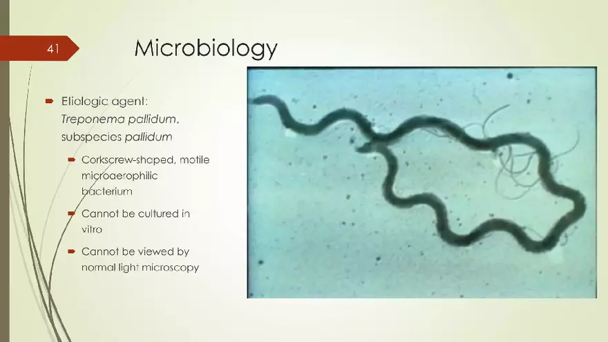Genital Infection in Gynecology - Page 36