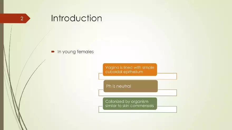 Genital Infection in Gynecology - Page 2