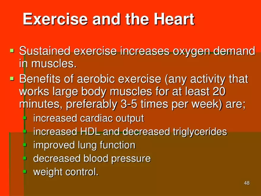 Chapter 20: The Cardiovascular System - Page 43