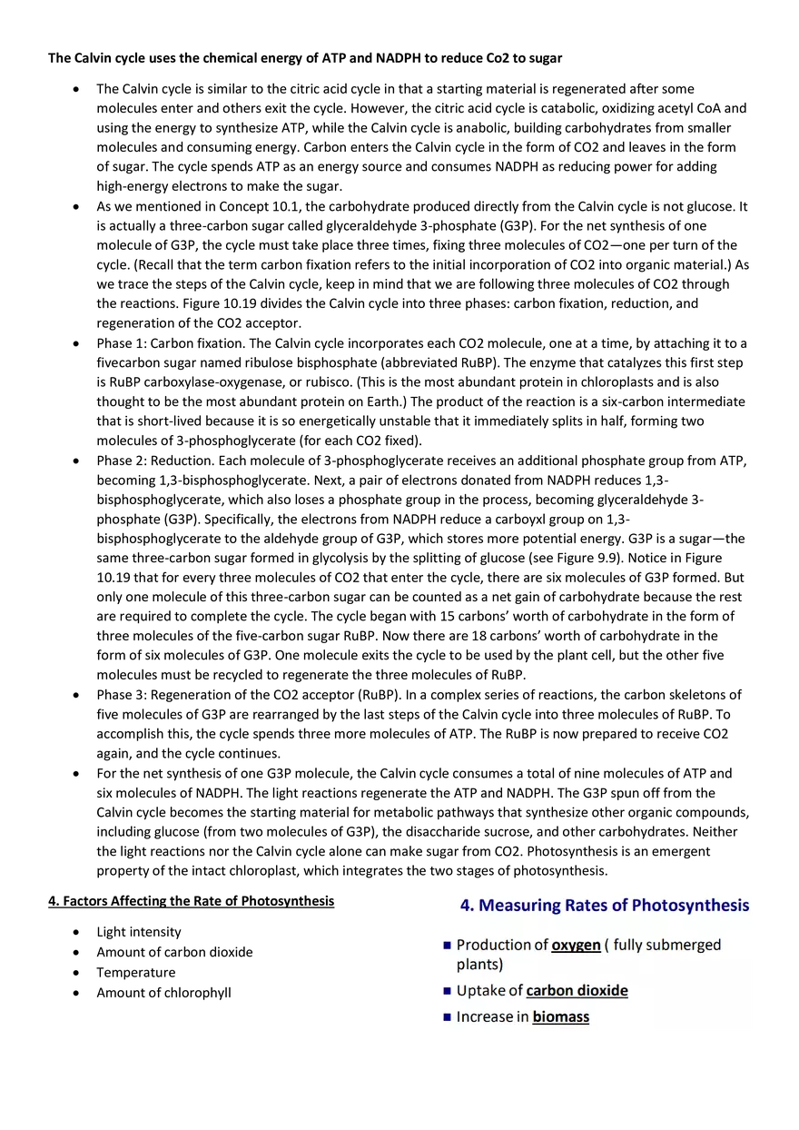 Topics 23: Photosynthesis - Page 7