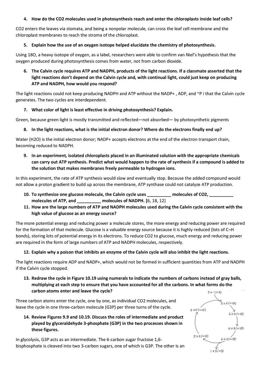Topics 23: Photosynthesis - Page 9