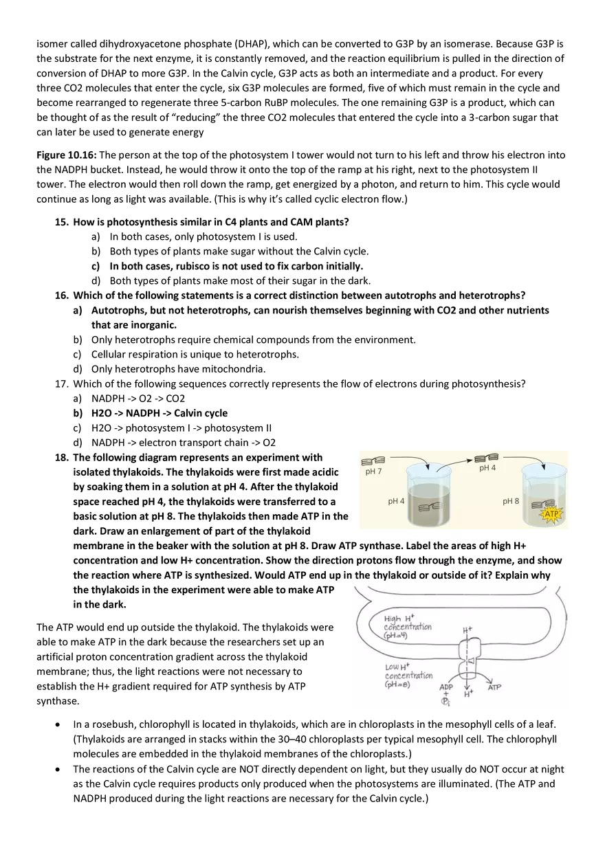 Topics 23: Photosynthesis - Page 10